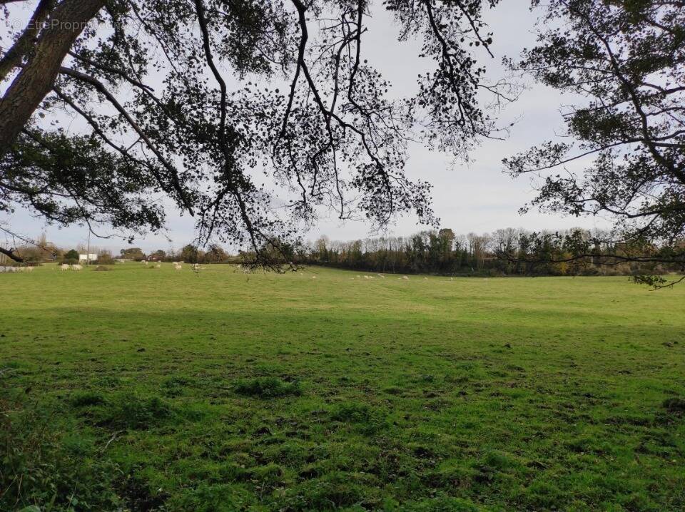 Terrain à VILLERS-SUR-MER