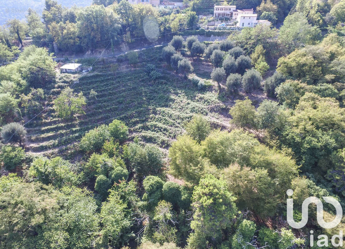 Photo 2 - Terrain à SAINTE-AGNES