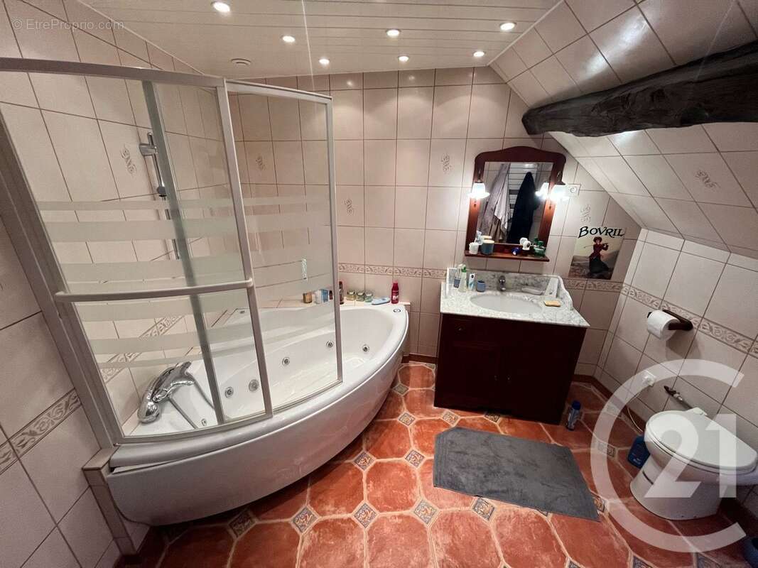 Maison 196 m² à Saint-Malo-En-Donziois  - photo 19