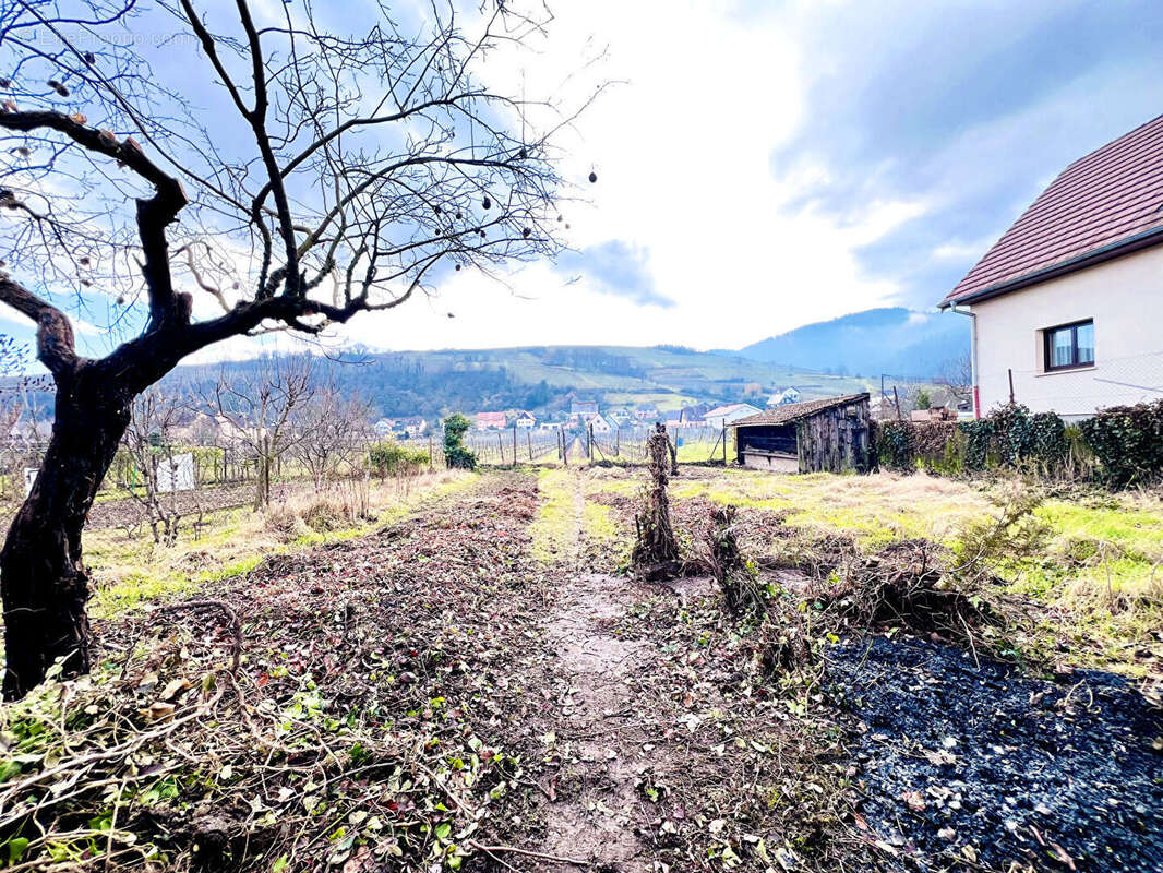 Maison à WINTZENHEIM