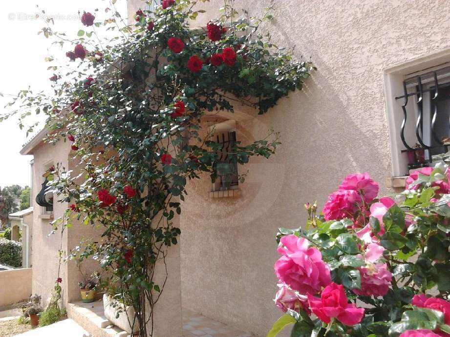 Maison à BALARUC-LES-BAINS