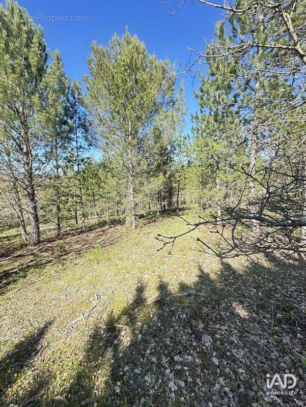 Photo 8 - Terrain à MOLLANS-SUR-OUVEZE