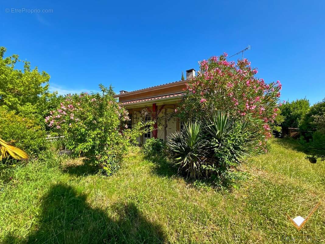 Maison à TOURNEFEUILLE
