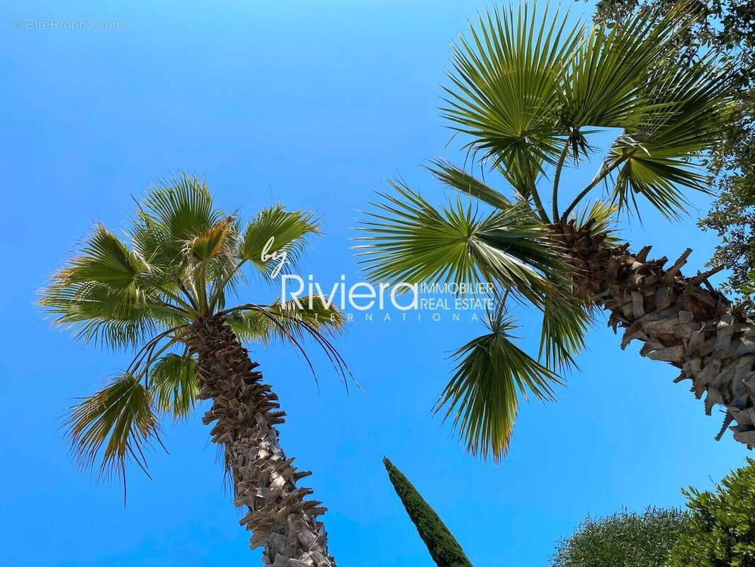 Maison à LA CROIX-VALMER