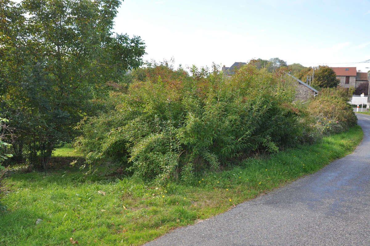 Maison à ARFEUILLES