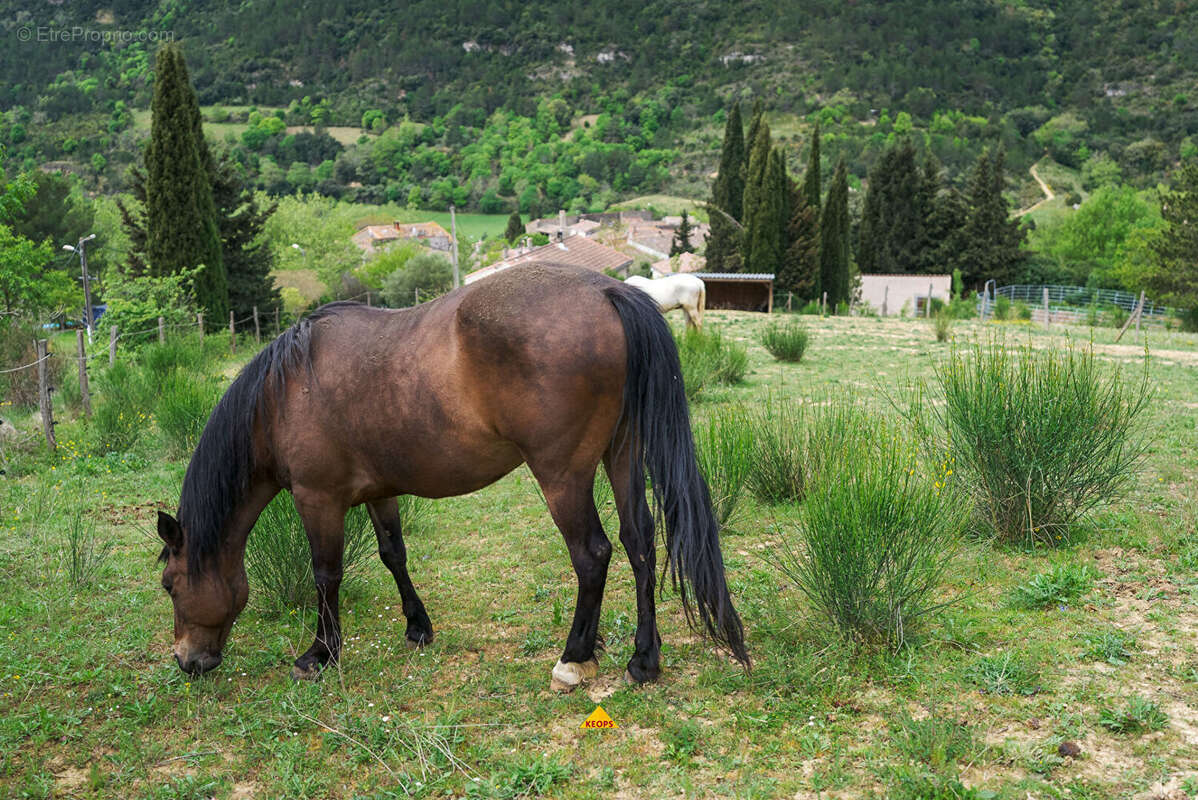 Terrain à CARCASSONNE
