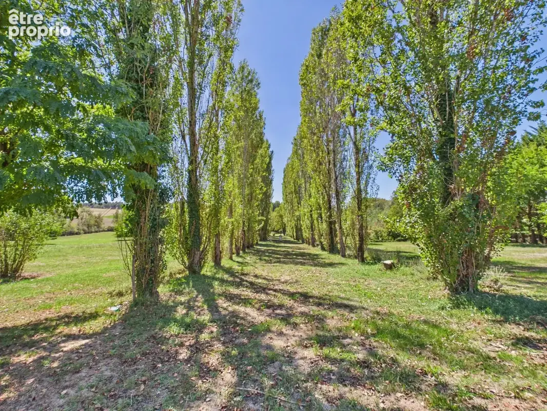 Propriété à la campagne avec piscine et 4,2 hectares de terrain - photo 15