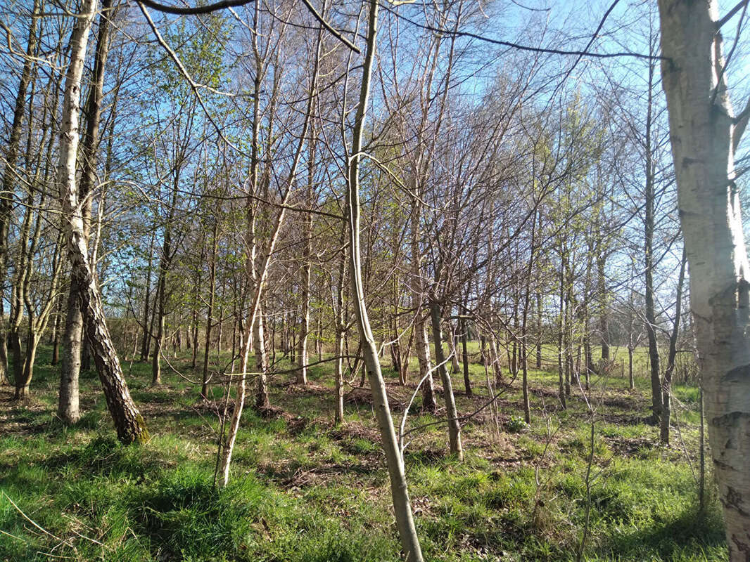 Terrain à MARCILLE-RAOUL
