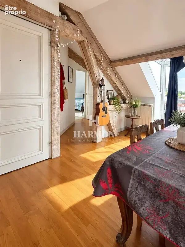 HARMON A VENDRE : Appartement de charme avec deux grandes terrasses à Salies-de-Béarn - photo 6