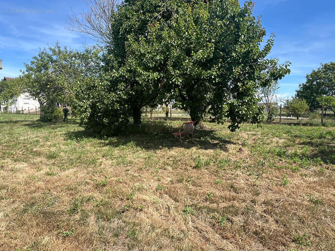 Terrain à MONTS-SUR-GUESNES