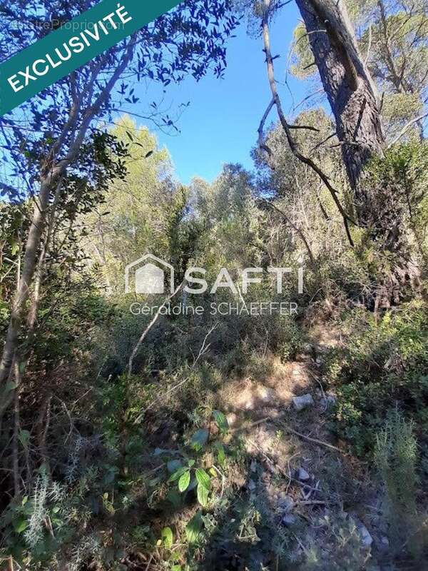 Photo 3 - Terrain à VACQUIERES