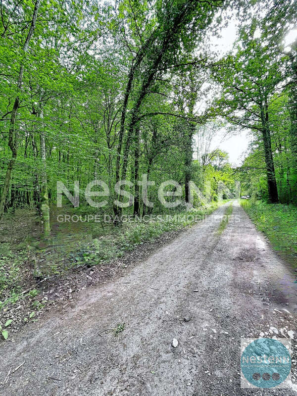 Terrain à FONTAINES-EN-SOLOGNE