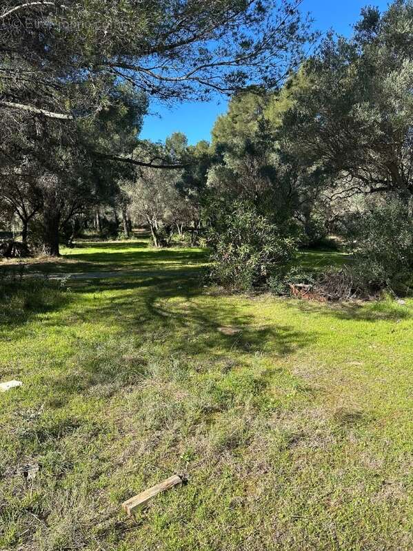 Terrain à LA CADIERE-D'AZUR