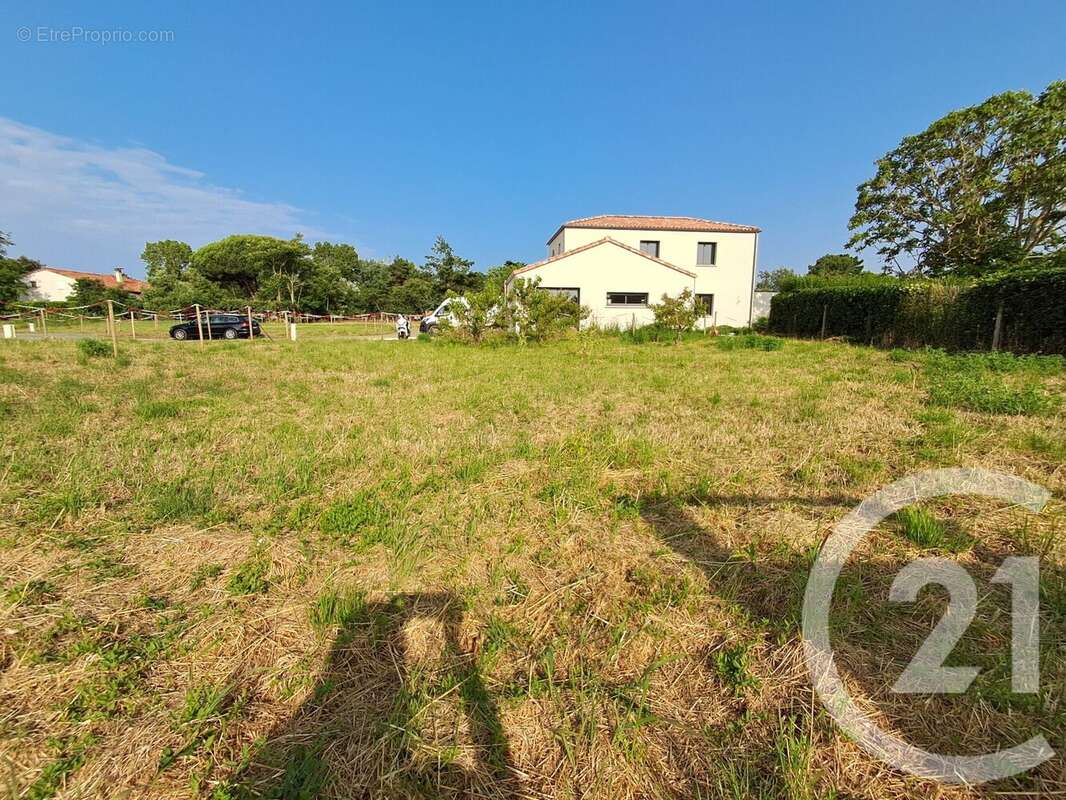 Terrain à TALMONT-SAINT-HILAIRE