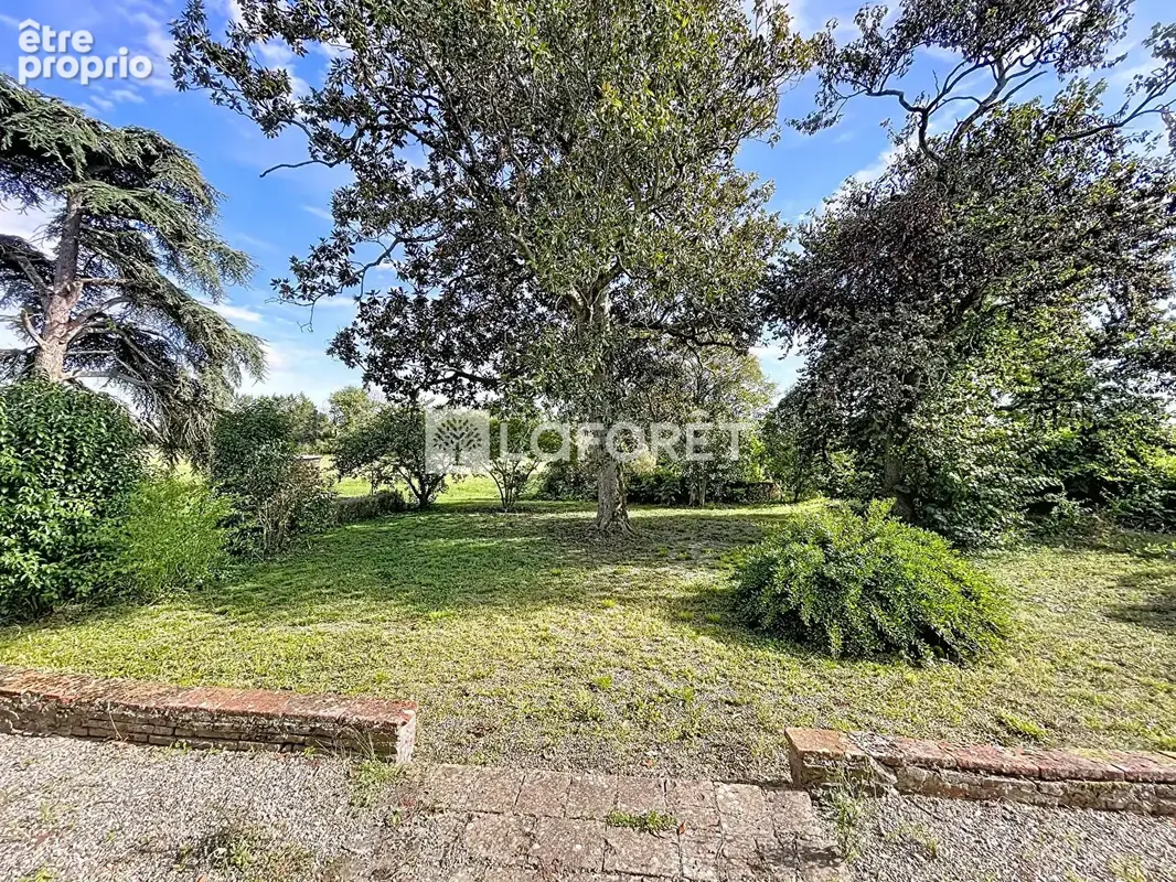 Ensemble immobilier - ferme + dépendances + maison de maître - 485 m2 - 14549 m2 terrain - photo 14