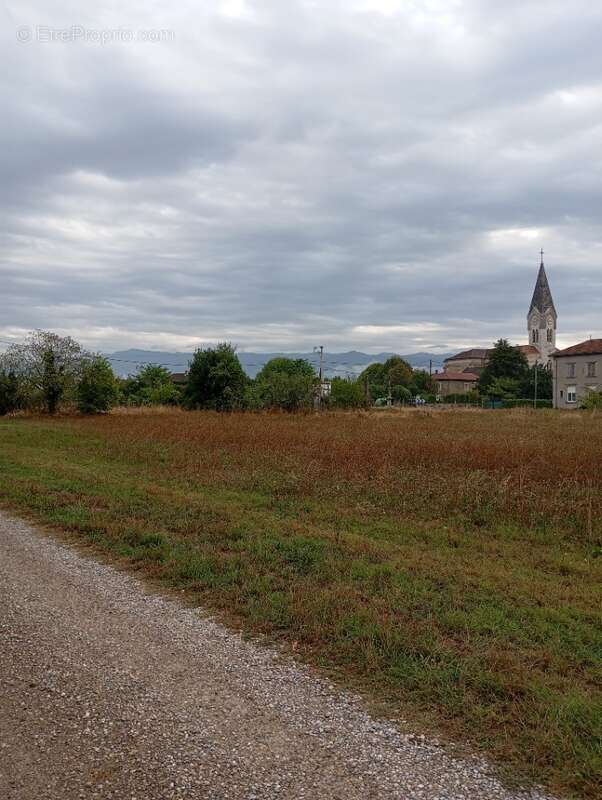 Terrain à SAINT-HILAIRE-DU-ROSIER