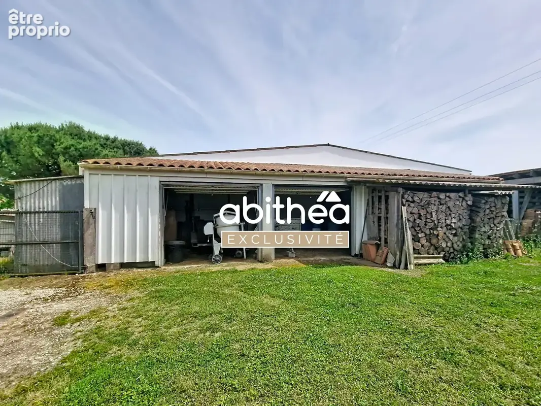 Rare  ideal artisan  350m2 de hangar  143m2 hab a rafraichir  6000m2 de terrain clos - photo 19