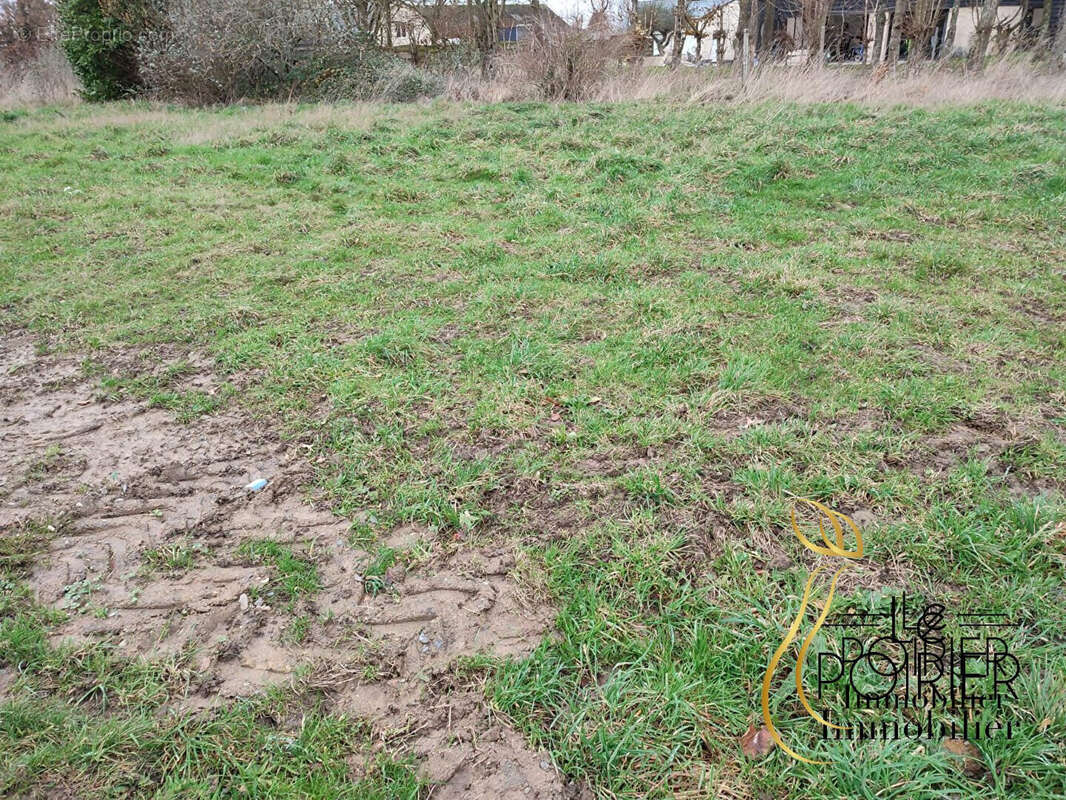 Terrain à SAINT-TRIMOEL