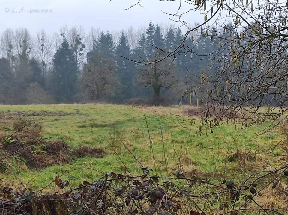 Terrain à SAINT-ANDRE-D'HEBERTOT
