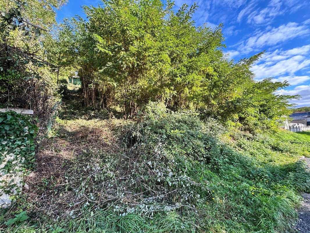 Terrain à AMBOISE