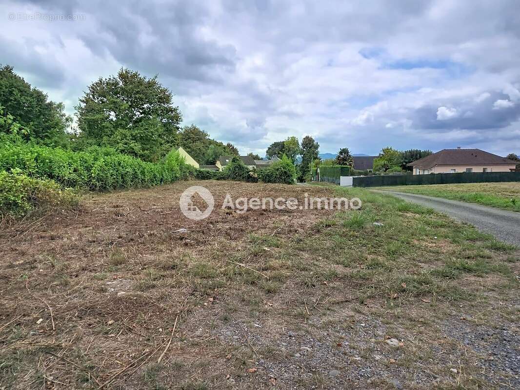 Terrain 2380 m² à Verdets  - photo 2