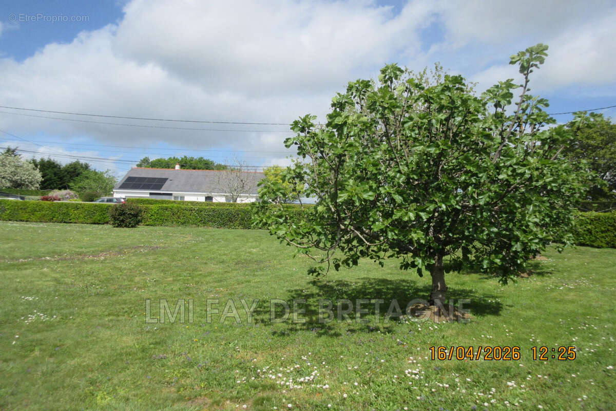 Terrain 508 m² à Treillieres  - photo 2