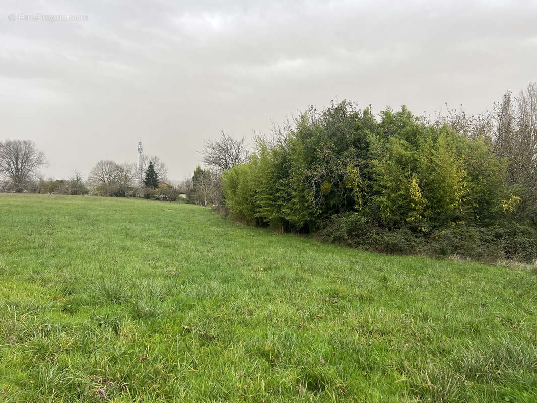 Autre à SAINT-LEON-SUR-L'ISLE