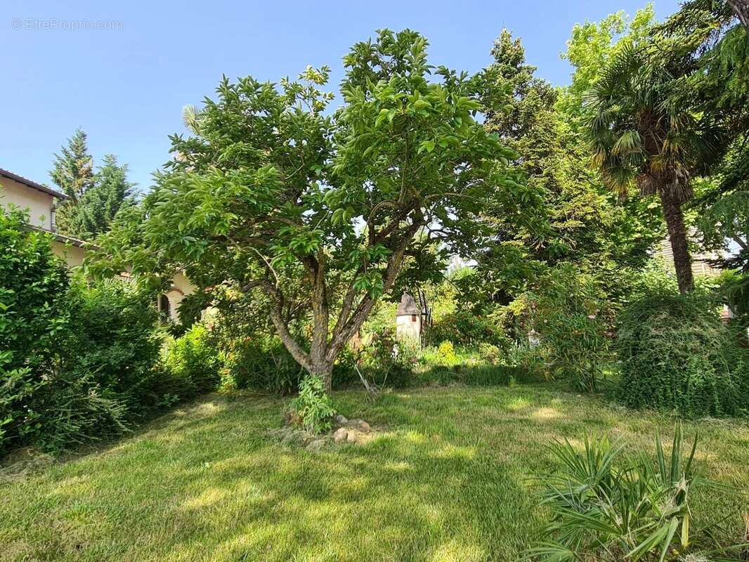 Maison à MONTASTRUC-LA-CONSEILLERE