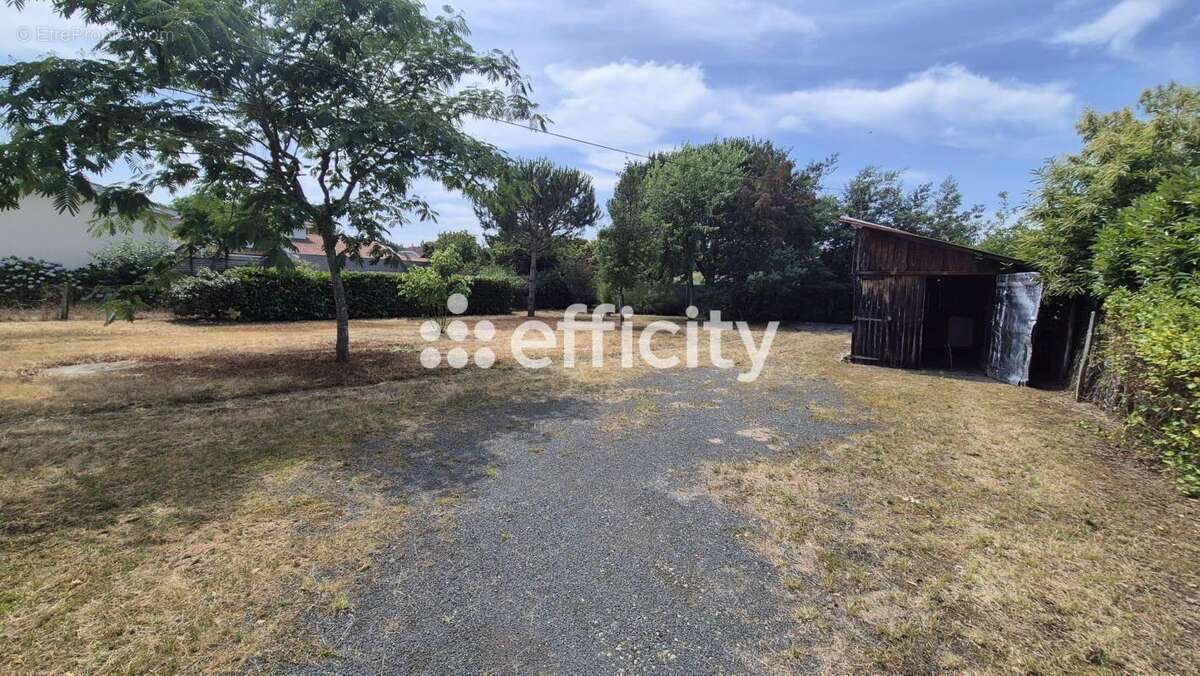 Terrain à BISCARROSSE