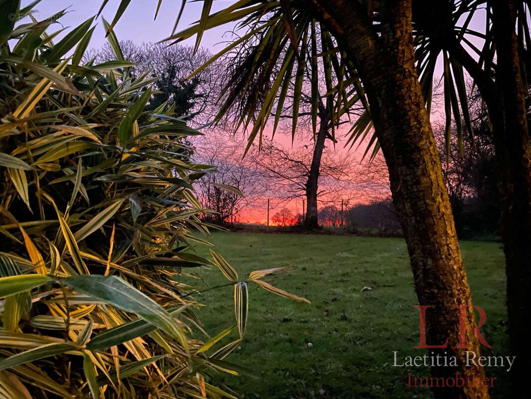 Maison à VERN-SUR-SEICHE