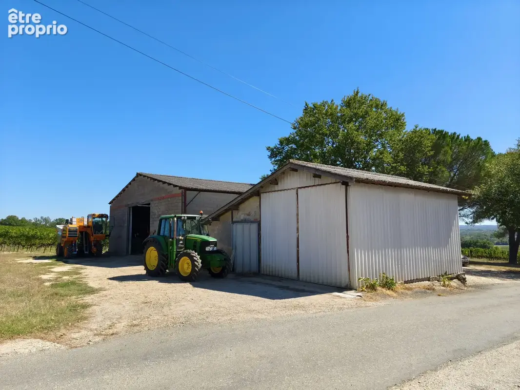 Propriété viticole avec maison, dépendances et vignoble ! - photo 13