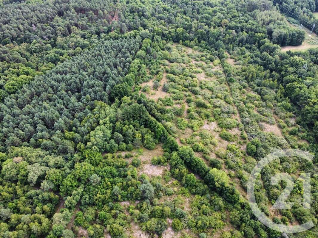 Terrain à LA FERTE-SAINT-AUBIN