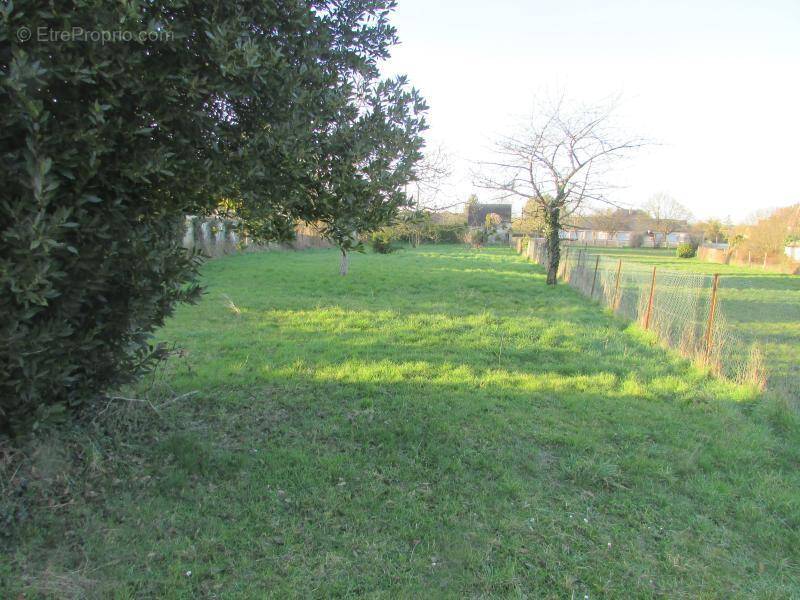 Terrain à MESNIL-SUR-L&#039;ESTREE