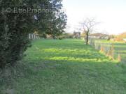 Terrain à MESNIL-SUR-L&#039;ESTREE