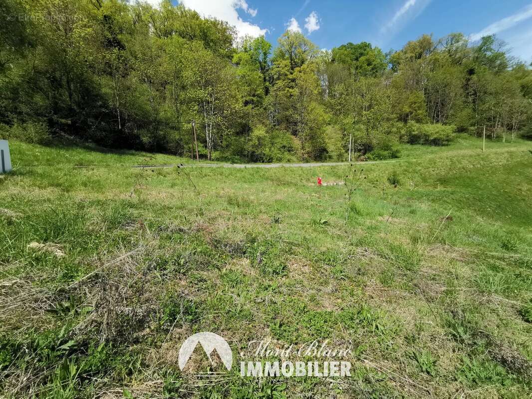 Terrain à PASSY