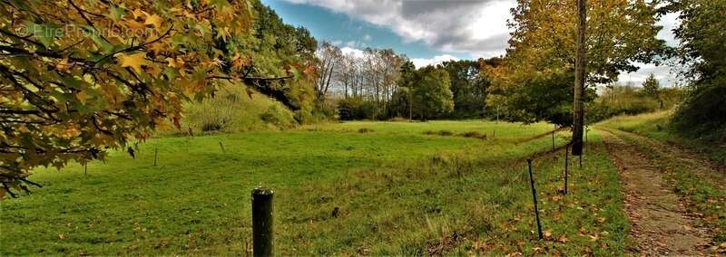 Maison à SAINT-MARTIN-DE-SEIGNANX