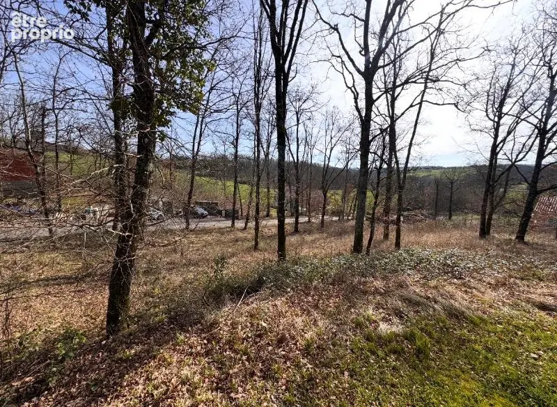 Photo Terrain à Auty au prix de 39 900€