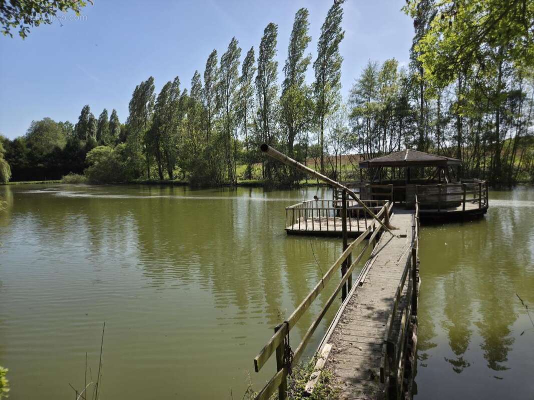 Terrain à LOIGNE-SUR-MAYENNE