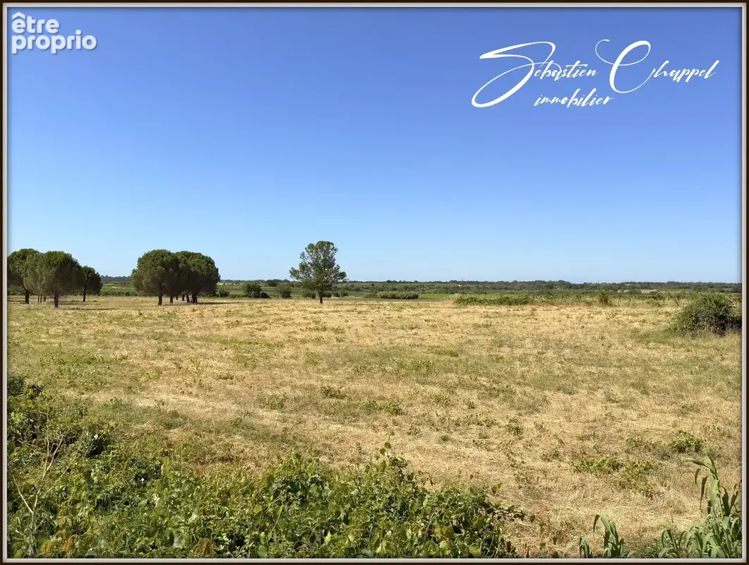 Terrain à vendre de 1011 m2 ALIGNAN DU VENT (34) - photo 9