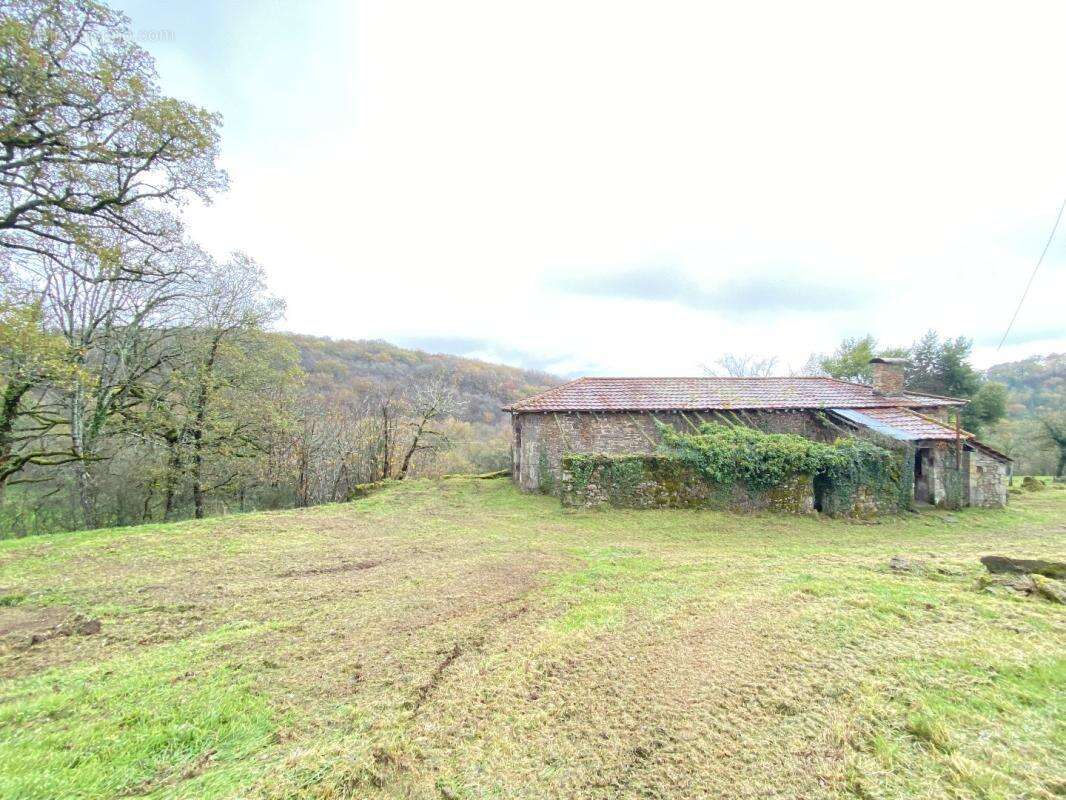 Maison à LE BOURG