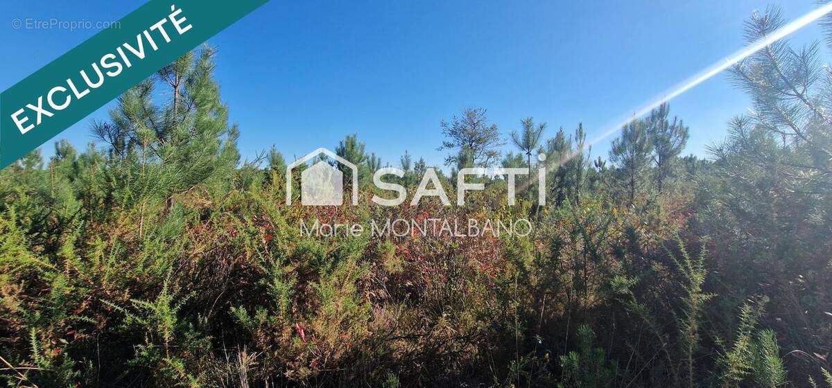 Photo 1 - Terrain à BIGANOS