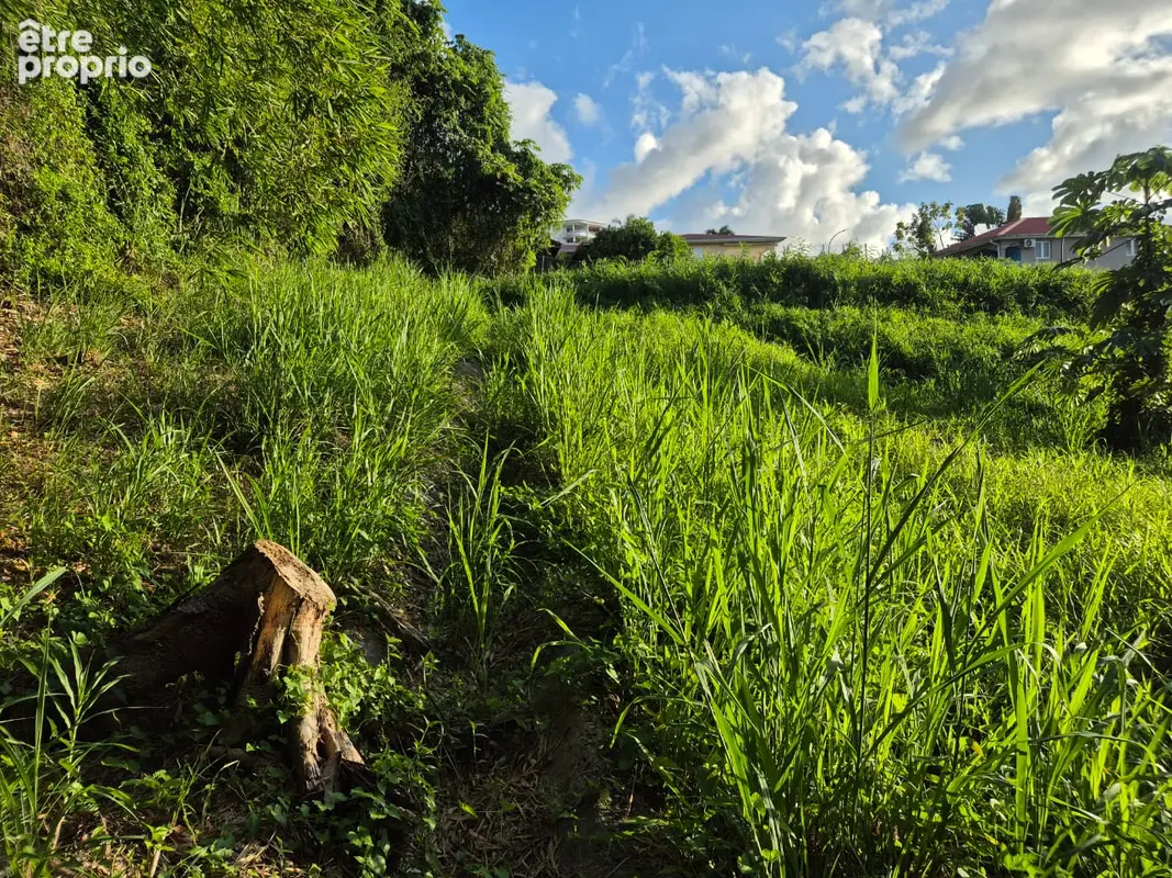 A Vendre : Terrain constructible de 604 m² environ à Ducos - photo 3