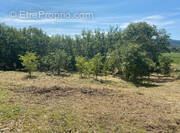 Terrain à SAINT-ALBAN-AURIOLLES