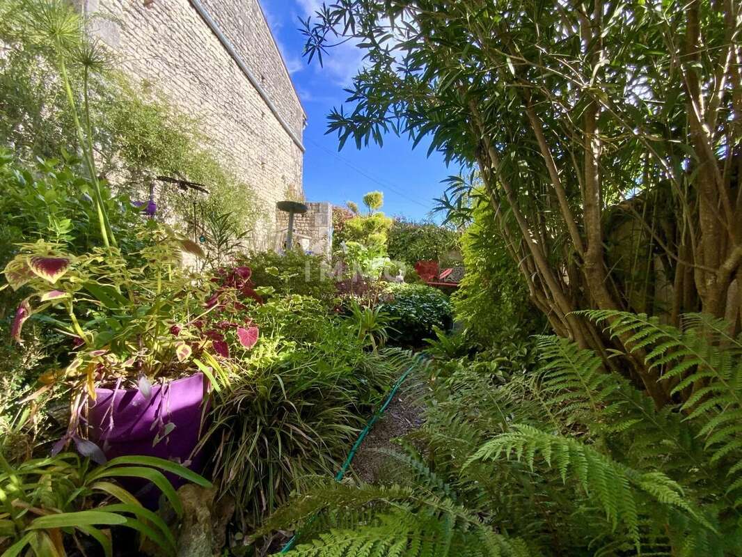 Maison à JUILLAC-LE-COQ