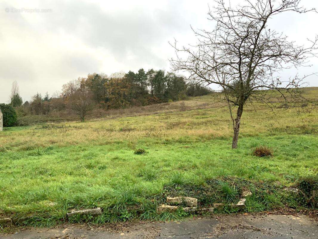 Maison à MORET-SUR-LOING