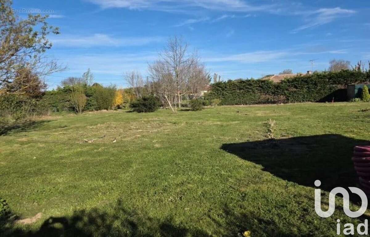 Photo 2 - Terrain à CINTEGABELLE