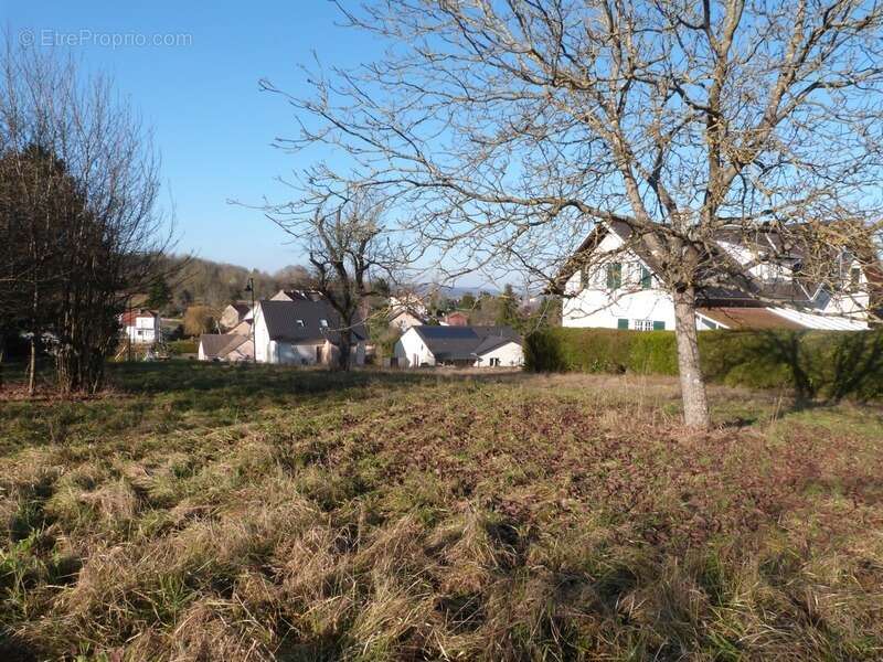 Dpt Moselle (57), à vendre proche de SARREGUEMINES terrain - Terrain de 779,00 m² - photo 11