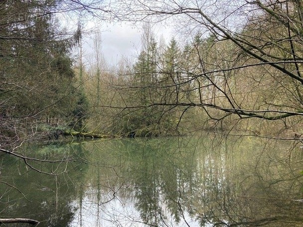 Terrain à LE RIBAY