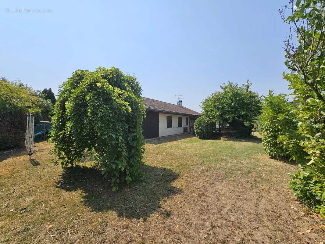 Maison familiale 5 pièces – SCIEZ, aux portes du Domaine de Coudrée - photo 5