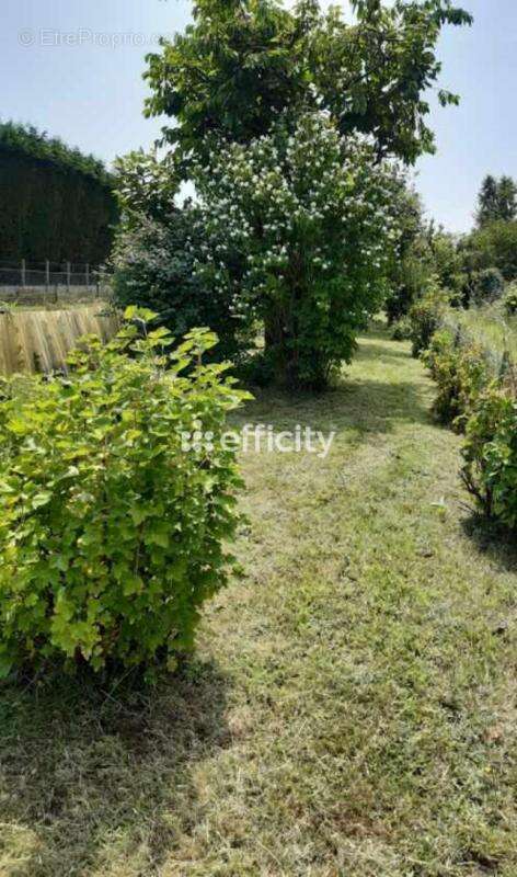 Maison 75 m² à Frelinghien  - photo 3
